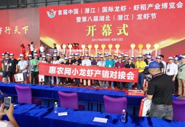 2017監利、潛江小龍蝦網上采購節