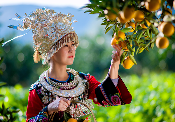 富硒冰糖橙香飄長(zhǎng)沙 愛心消費(fèi)助麻陽(yáng)果農(nóng)脫貧增收
