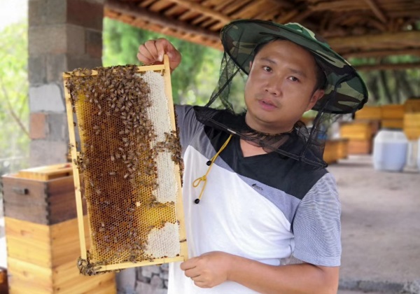 惠農網錘煉致富帶頭人 瀘溪縣張明養(yǎng)蜂釀就甜蜜生活