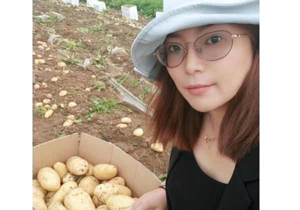 一個月銷售500噸，惠農代賣幫助新手夫婦將土豆賣向全國