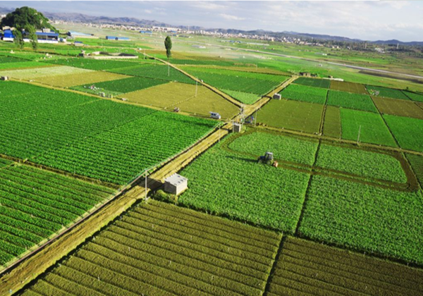 農(nóng)業(yè)農(nóng)村部辦公廳關于開展2022年全國休閑農(nóng)業(yè)重點縣申報和監(jiān)測工作的通知